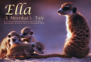 Ella: A Meerkat's Tale