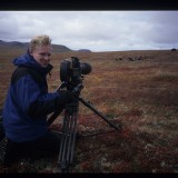 Filming Musk Ox near Nome, AK, for 'Wild New World', 1998