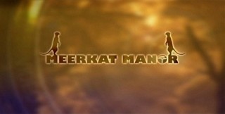 Meerkat Manor, Season 1