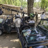 Tigers, Chimps & Wildscreen nominations