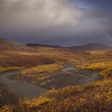 Tundra, near Nome, AK