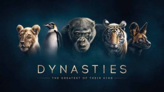 Dynasties