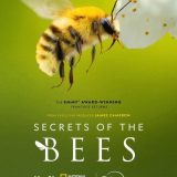 Secrets of the Bees, National Geographic, x2 50min films
