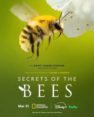 Secrets of the Bees, National Geographic, x2 50min films