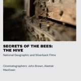 Jackson Wild Nominations for 'Secrets of the Bees'