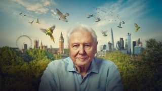 Wild London with Sir David Attenborough