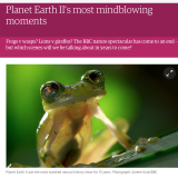 Chimps, Frogs & Planet Earth II