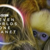 BBC1, Seven Worlds, One Planet broadcast